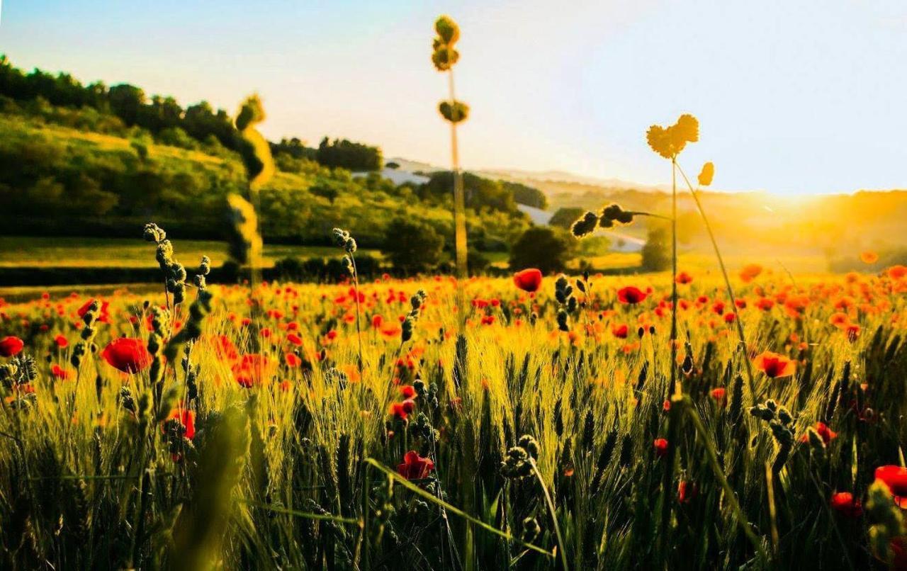 Agriturismo La Sorgente カメラーノ エクステリア 写真