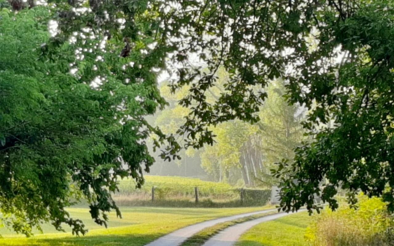 Agriturismo La Sorgente カメラーノ エクステリア 写真