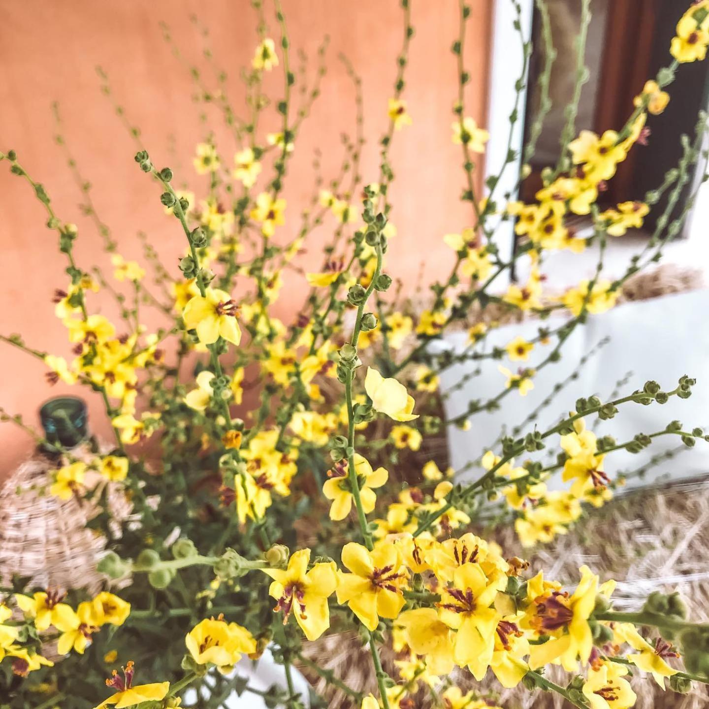 Agriturismo La Sorgente カメラーノ エクステリア 写真