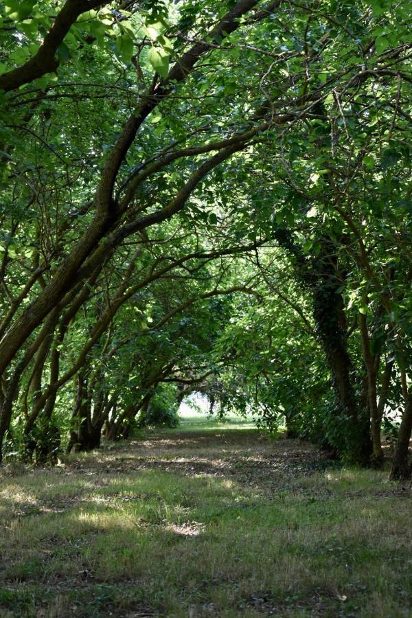 Agriturismo La Sorgente カメラーノ エクステリア 写真
