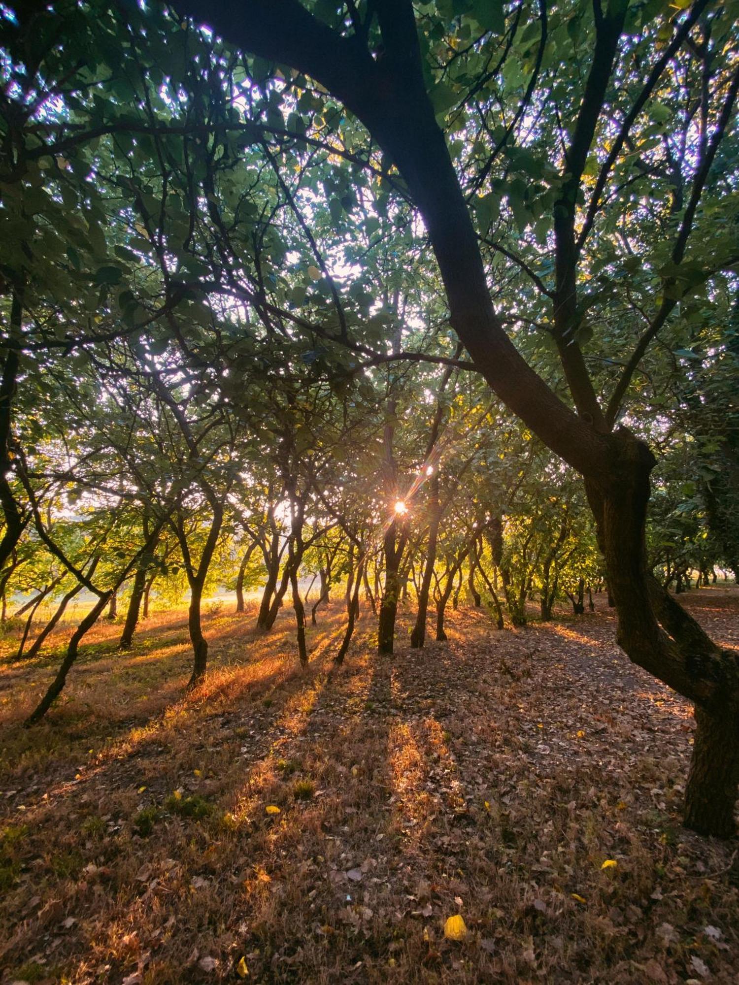 Agriturismo La Sorgente カメラーノ エクステリア 写真