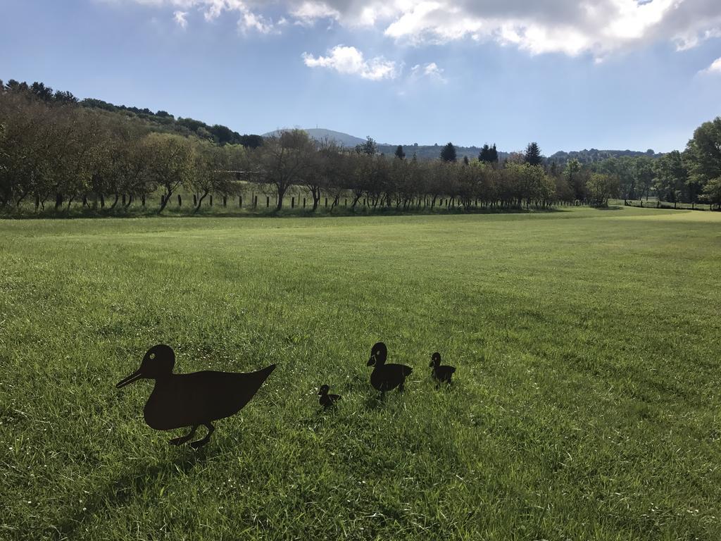 Agriturismo La Sorgente カメラーノ エクステリア 写真