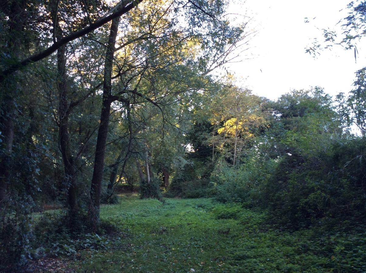 Agriturismo La Sorgente カメラーノ エクステリア 写真