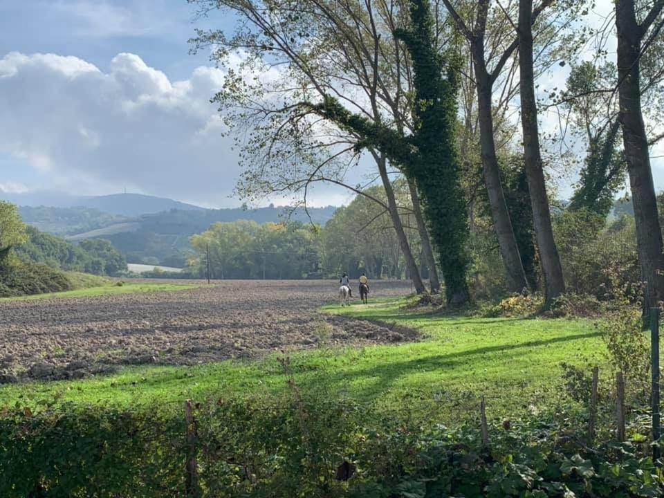 Agriturismo La Sorgente カメラーノ エクステリア 写真